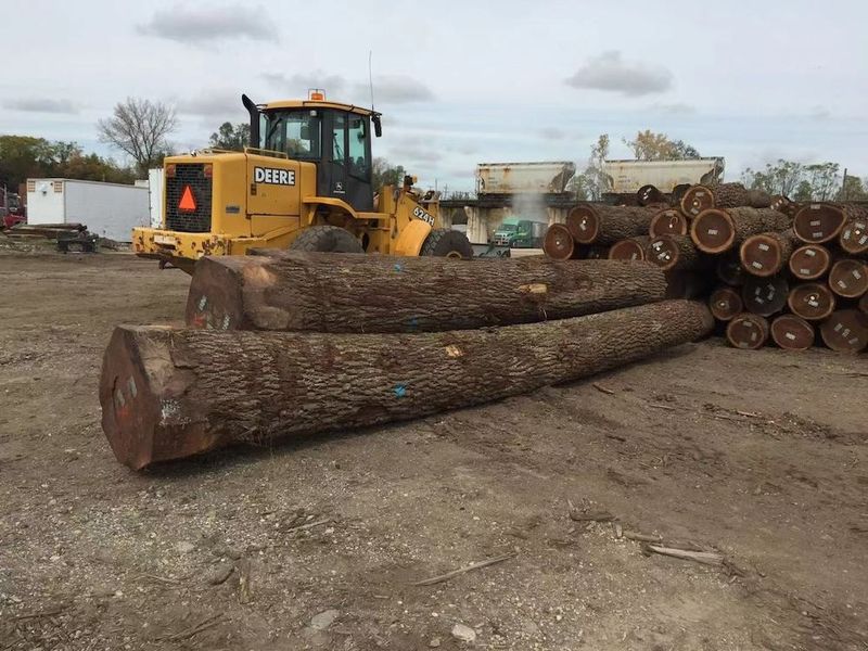 चीन Dongguan Yinghui Wood Industry Co., Ltd. कंपनी प्रोफाइल