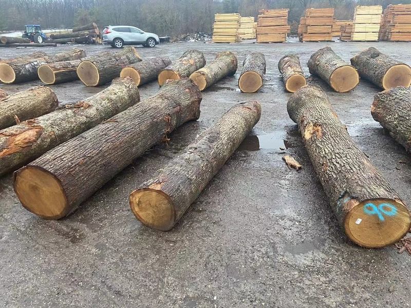 चीन Dongguan Yinghui Wood Industry Co., Ltd. कंपनी प्रोफाइल