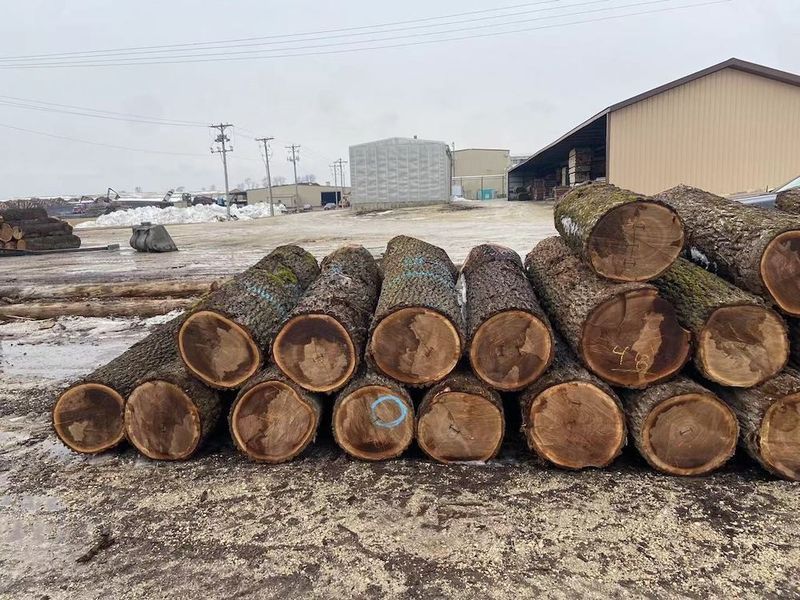 चीन Dongguan Yinghui Wood Industry Co., Ltd. कंपनी प्रोफाइल