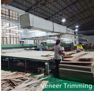 Dongguan Yinghui Wood Industry Co., Ltd. निर्माता उत्पादन लाइन