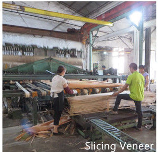 Dongguan Yinghui Wood Industry Co., Ltd. निर्माता उत्पादन लाइन